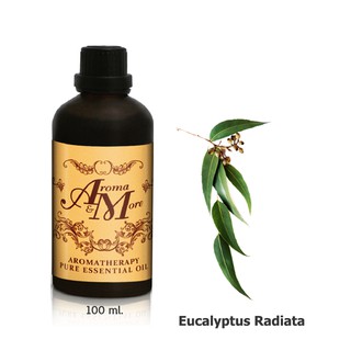 Aroma&amp;More Eucalyptus (Radiata) Essential oil 100% / น้ำมันหอมระเหยยูตาลิปตัส 100% Australia 100ML