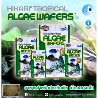 ภาพขนาดย่อของภาพหน้าปกสินค้าล๊อตใหม่ Hikari Tropical Algae Wafers อาหารปลา ซัคเกอร์ ปลาแพะ ปลาหมู จากร้าน supphawitp บน Shopee