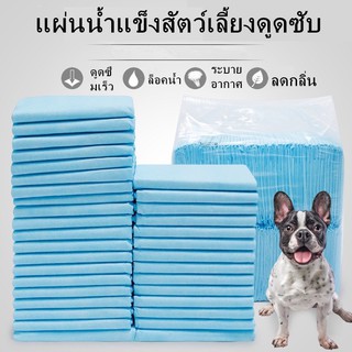 ราคาและรีวิวL005-แผ่นรองฉี่สุนัข แผ่นรองฉี่แมว  ระงับกลิ่น ซึมซับไดีดี แผ่นรองฉี่สุนัขและแมว