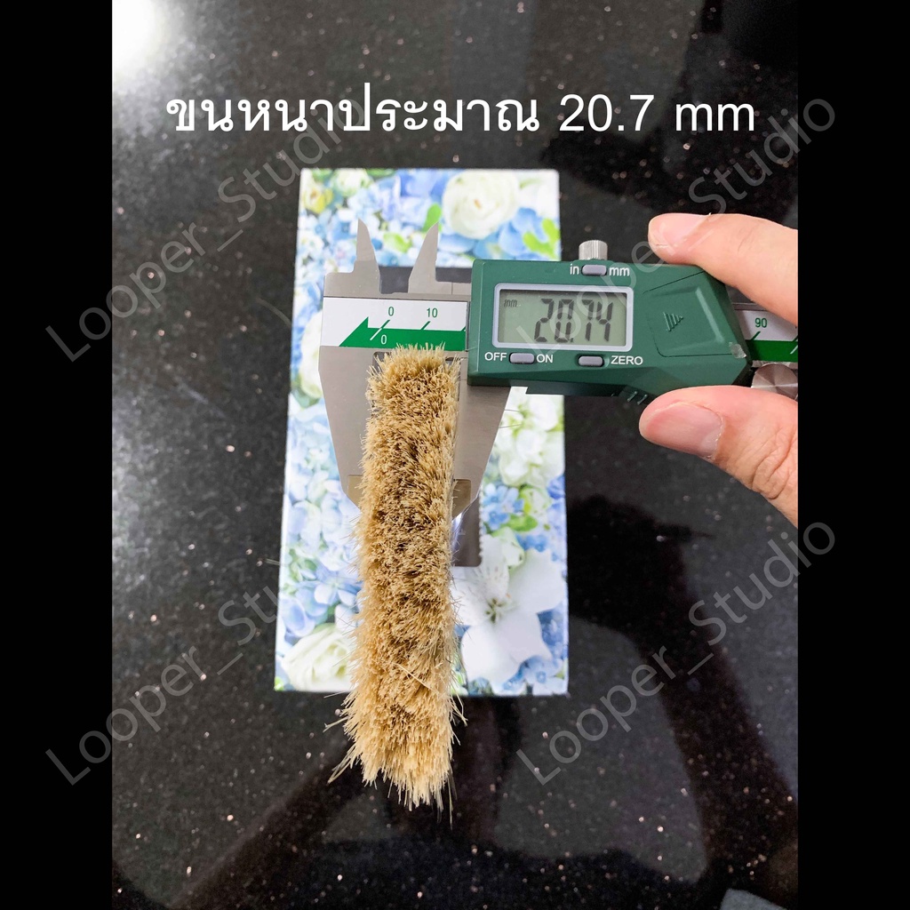 ขายยกกล่อง-1-กล่อง-12-ชิ้น-แปรงทาสีเกรดพรีเมี่ยม-xyz-ขายยกกล่อง-ขนสีทอง-มีเชือก-ถึก-ทน-อายุการใช้งานยาว