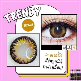 Trendy Brown (2) บิ๊กอาย โทนแบ๊ว สีน้ำตาล น้ำตาล Pretty Doll Contact Lens Bigeyes คอนแทคเลนส์ ค่าสายตา สายตาสั้น -5.50