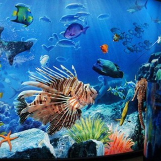 ภาพหน้าปกสินค้าบัตร SEA LIFE Bangkok Ocean World ที่เกี่ยวข้อง