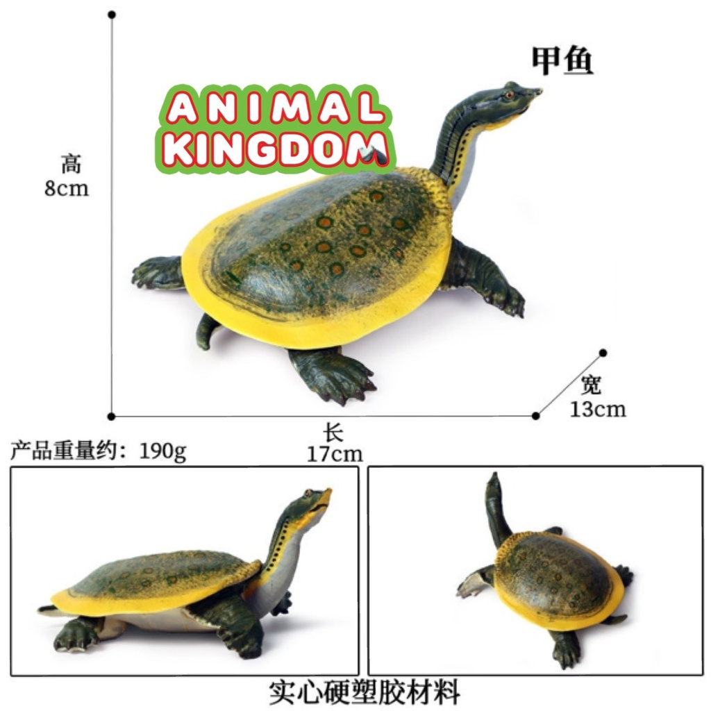 animal-kingdom-โมเดลสัตว์-ตะพาบน้ำ-ขนาด-17-00-cm-จากสงขลา