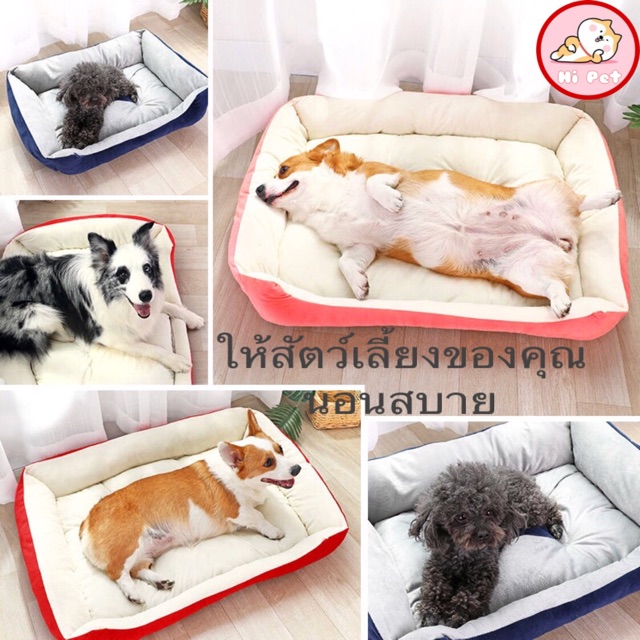 dandan-ที่นอนสัตว์เลี้ยง-kennel-pet-mattress