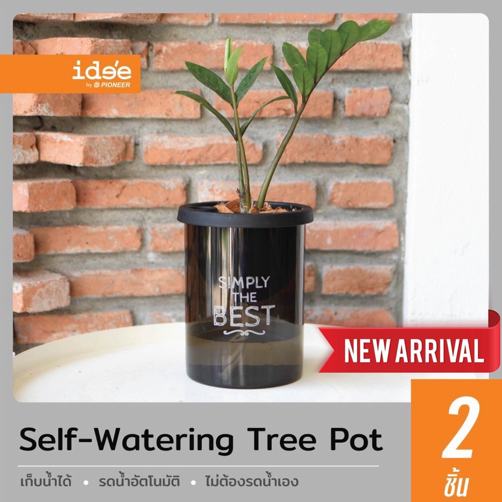 ภาพหน้าปกสินค้าide'e  NEW  กระถางต้นไม้รดน้ำอัตโนมัติ ขนาด 4 นิ้ว ทรงสูง รุ่น Self-watering (PN628LA) กระถางต้นไม้พลาสติก จากร้าน ideebypioneer บน Shopee