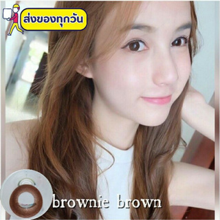 💟 Brownie  ( Rio ) ๑ mini/big brown gray สายตา -00 ถึง -1000 Sweety PlusPitchylens ระบุขนาดถามก่อน คอนแทคเลนส์