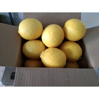 สินค้า มะนาวเหลืองสดผิวสวยเหลืองเข้ม เลม่อน(Lemon)