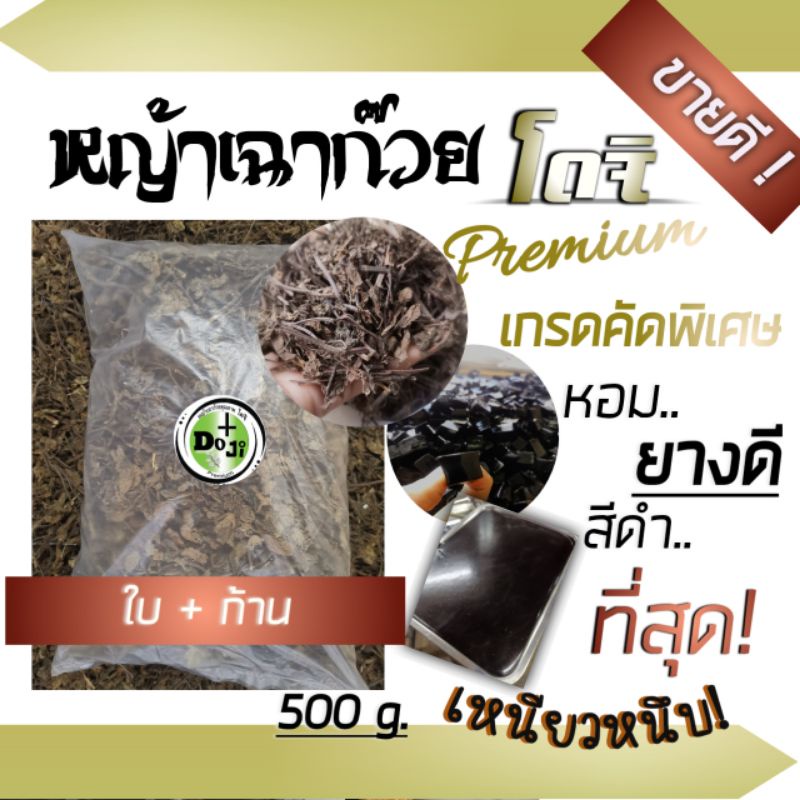 h-o-t-ใบเฉาก๊ว-ย-โดจิ-เกรดa-ของแท้-หญ้าเฉาก๊วย-ใบก้าน-ห่อ500g-ยางดี-เข้มข้น-เหนียวหนึบที่สุดทำเฉาก๊วยได้ทุกสูตร