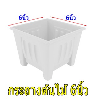 แพค5 กระถางต้นไม้ พลาสติก modern ขนาดใหญ่ 6นิ้ว