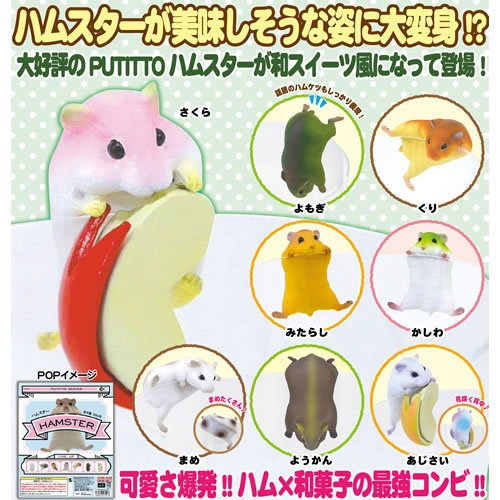 ครบเซ็ต-8-แบบ-putitto-hamster-nagomi-เกาะแก้ว-แฮมสเตอร์