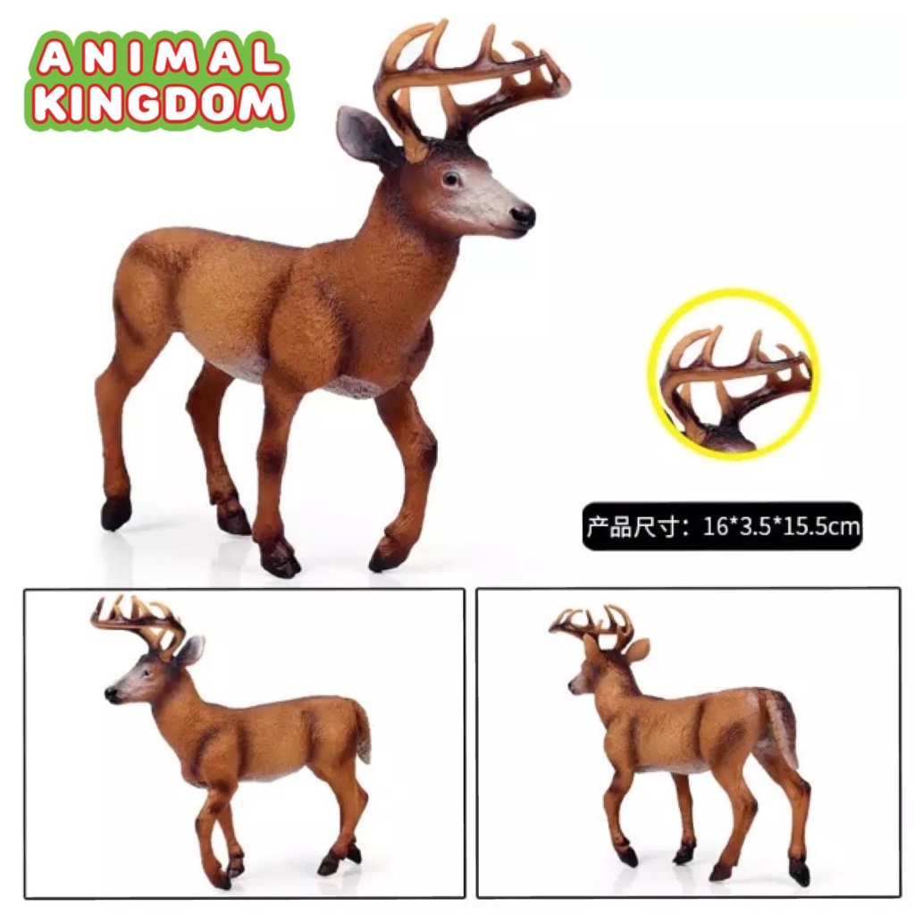 animal-kingdom-โมเดลสัตว์-กวาง-แดง-ขนาด-16-00-cm-จากหาดใหญ่