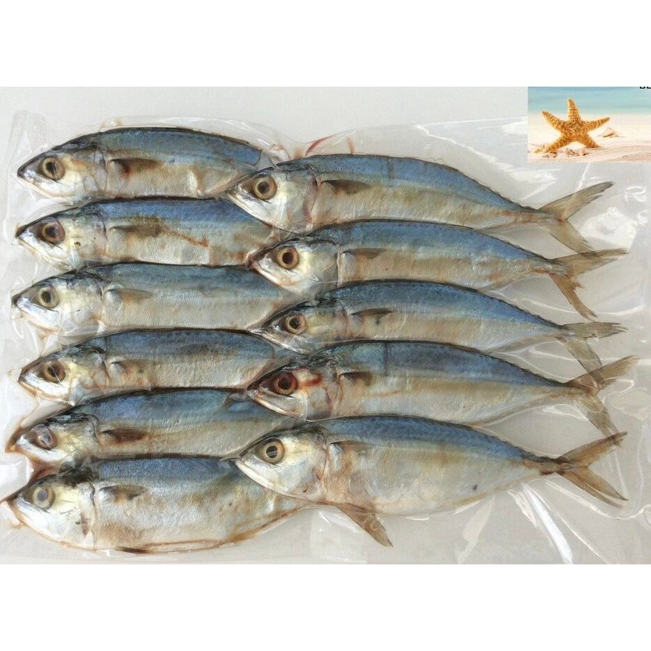 ภาพสินค้าปลาทูหอมขาว  แม่กลอง เค็มน้อยกว่าปลาทูหอม แพ็คละ 11 ตัว 100 บาท(อ่านลายละเอียด ) จากร้าน shopping_dd บน Shopee ภาพที่ 2