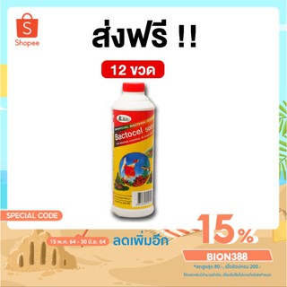 BACTOCEL 5001 น้ำยาดับกลิ่นรักษาสภาพน้ำ บ่อปลา [โค้ด BION388 ลด 15%] แบคโตเซล (300 ml) น้ำมีกลิ่นเหม็น ลดแอมโมเนีย ไนไต