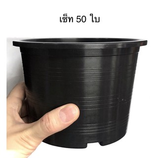 สินค้า กระถางแคคตัส กระถางกระบองเพชร กระถางต้นไม้ ปากกว้าง 6 นิ้ว เซ็ท 50 ใบ