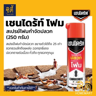 Chaindrite Foam โฟมกำจัดปลวก (250กรัม) เชนไดร้ท์  โฟมกำจัดปลวก ตายยกรัง ผลิตภัณฑ์กำจัดปลวกแบบเนื้อโฟม