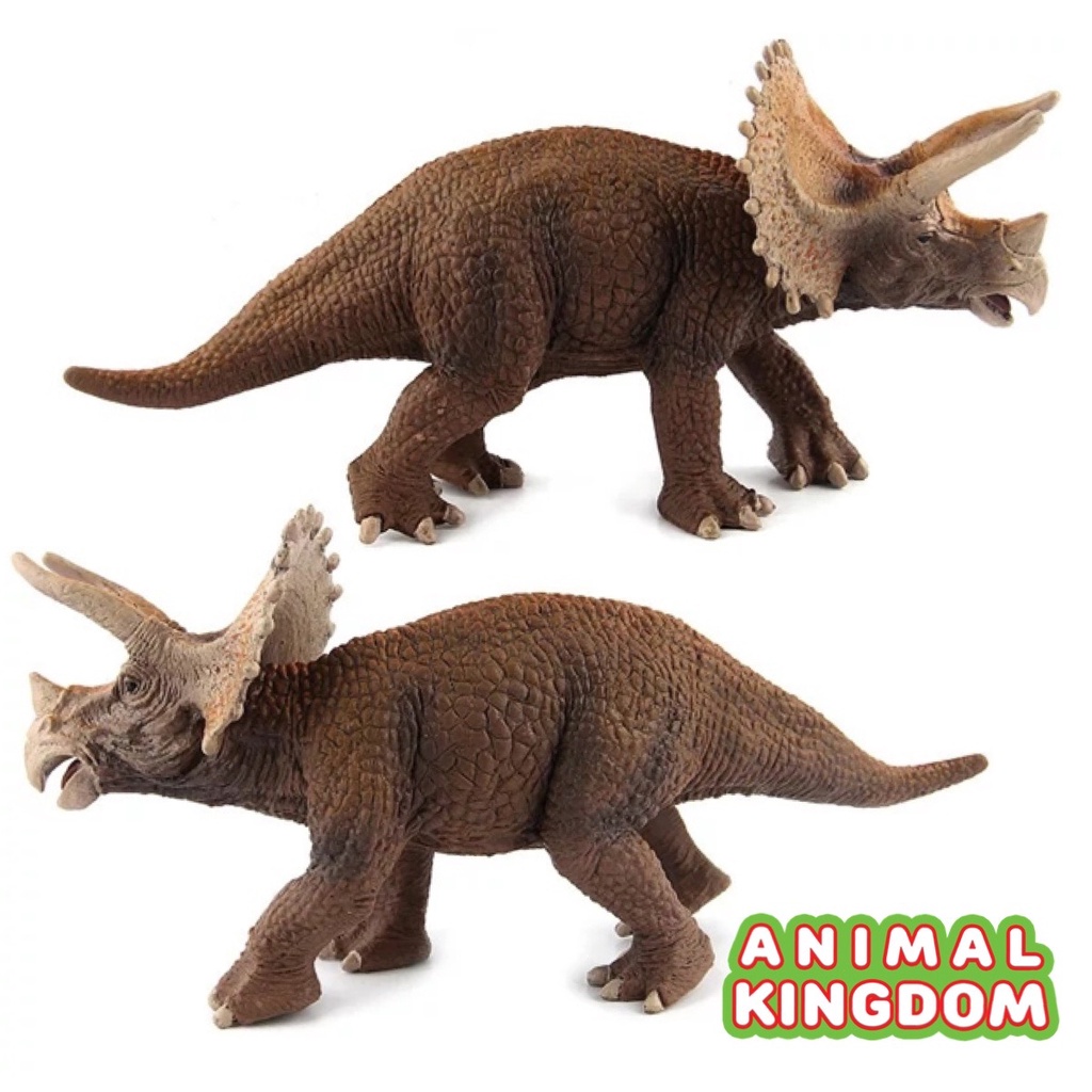 animal-kingdom-โมเดลไดโนเสาร์-triceratops-ขนาด-20-50-cm-จากหาดใหญ่