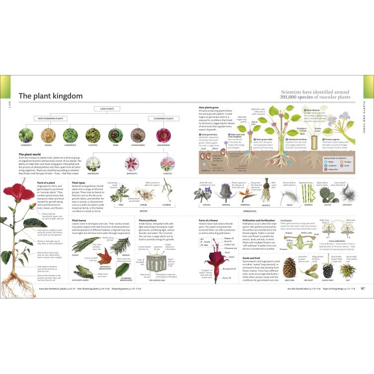 dktoday-หนังสือ-the-visual-encyclopedia-dorling-kindersley