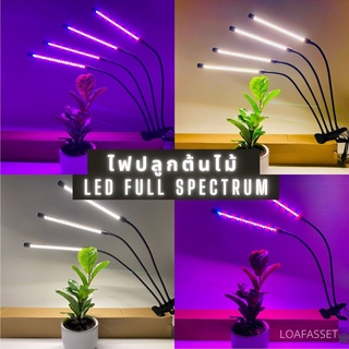 ภาพย่อรูปภาพสินค้าแรกของพร้อมส่ง ไฟปลูกต้นไม้ led grow light full spectrum หลอดไฟปลูกต้นไม้ โคมปลูกต้นไม