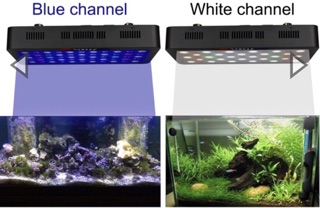 ภาพขนาดย่อของภาพหน้าปกสินค้าไฟเลี้ยงปลาทะเล และปะการัง เลี้ยงต้นไม้ LED Full spectrum 165w ปรับแสงได้ เลือก Channel ได้ จากร้าน pp.aqua บน Shopee ภาพที่ 5
