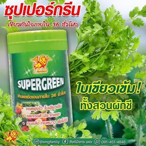 ซุปเปอร์กรีน-super-green-พลังเขียว-เขียวเร็ว36-ซม-ใบเขียว-เพิ่มราก-ขนายต้น-เพิ่มผลผลิต-100-กรัม