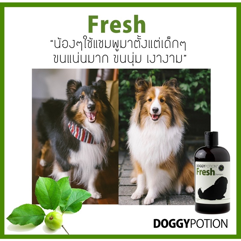 doggy-potion-fresh-shampoo-3-800ml