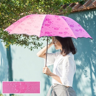 สินค้า ร่มกันฝน ร่มพับ 3 ตอน ร่มกันแดด ร่มกันยูวี ร่มกันUV ร่มพับได้ ร่ม uv Umbrella คุณภาพดีราคาถูก