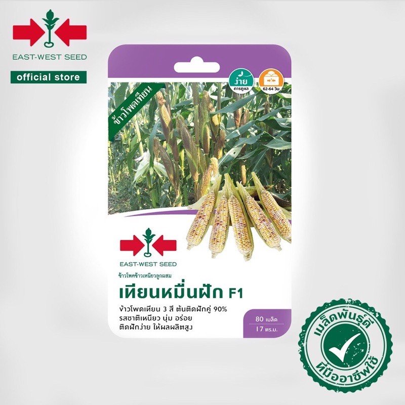 เมล็ดพันธุ์ข้าวโพด-waxy-corn-seeds-เทียนหมื่นฝัก-f1-เมล็ดพันธุ์ข้าวโพดฝักเล็กผลกด-ข้าวโพดเทียมกมื่นฝัก-ตราศรแดง