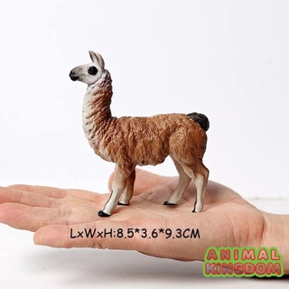 Animal Kingdom - โมเดลสัตว์ ลามะ ขนาด 9.50 CM (จากหาดใหญ่)