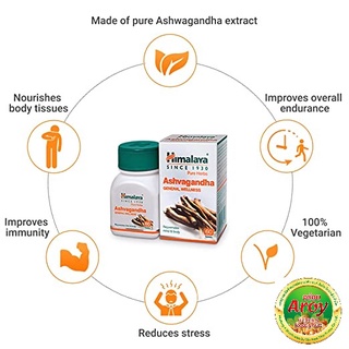 ภาพขนาดย่อของภาพหน้าปกสินค้าHimalaya Ashvagandha Ashwagandha อัชวาคันธะ โสมอินเดีย 60 เม็ด จากร้าน aroyherbs บน Shopee ภาพที่ 4