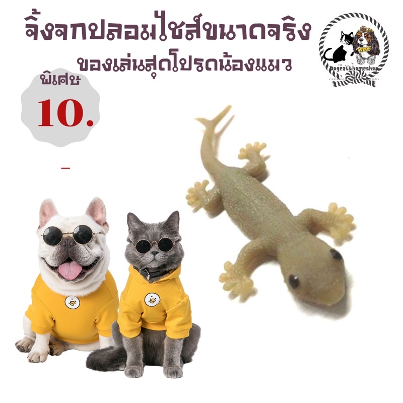 จิ้งจกปลอมของเล่นแมวขนาดจริงแบบนิ่ม-ราคา-10-บาท-มีชำระปลายทางค่าส่ง22-บาท