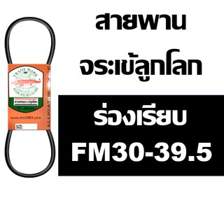 ภาพขนาดย่อของสินค้าจระเข้ลูกโลก สายพาน ร่อง FM ร่องเรียบ FM30 FM31 FM32 FM33 FM34 FM35 FM36 FM36.5 FM37 FM37.5 FM38 FM38.5 FM39 FM39.5