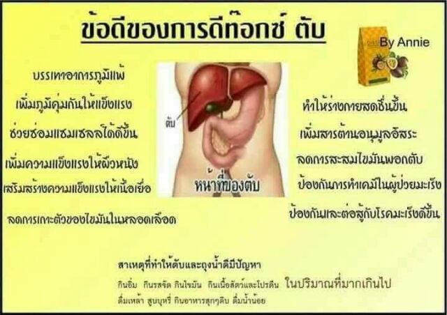 pacio-พาซิโอ้-detox-ดีท๊อกซ์-ขับสารพิษ-ในลำไส้-masterpiece-life-vision-มาสเตอร์-พีซ-วิชั่น