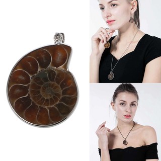 BST✿Natural Stone Ammonite Fossils Seashell Snail Pendants Gemstone Beads DIY