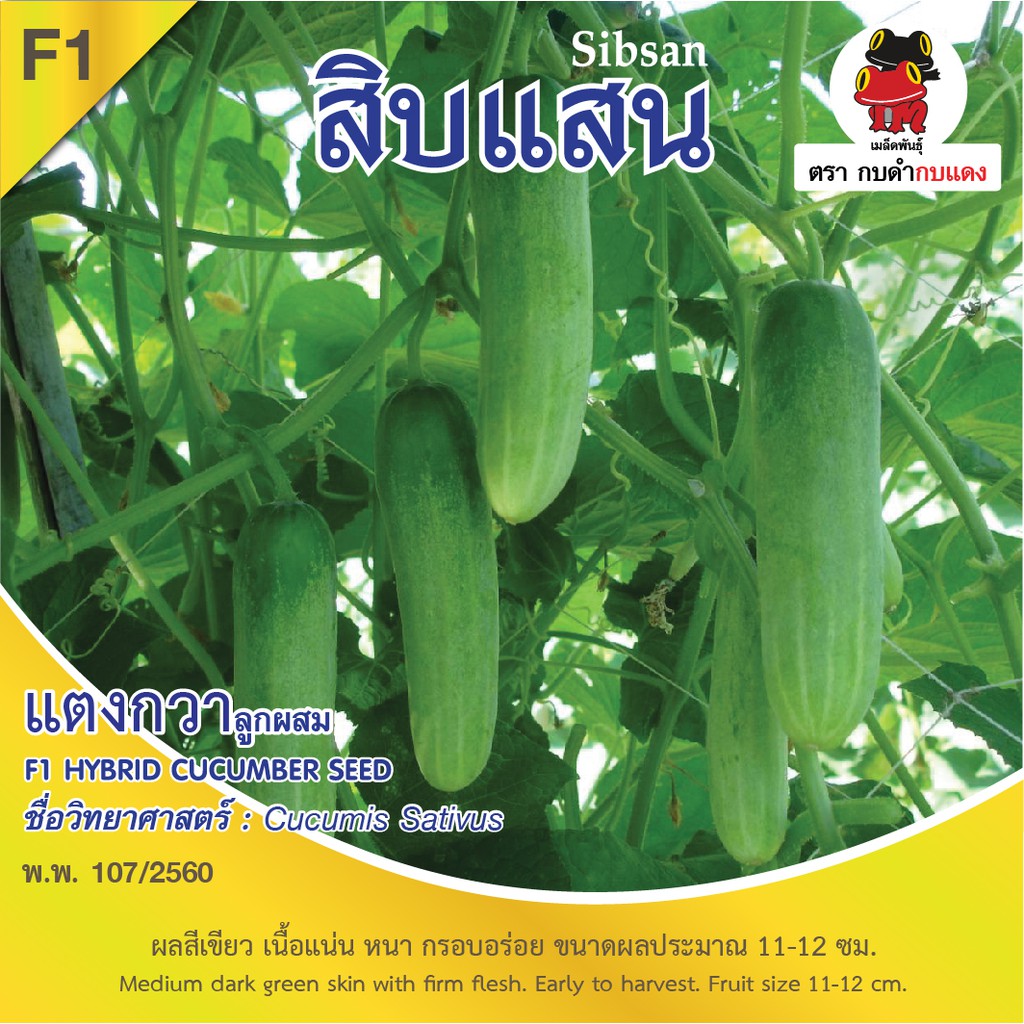 เมล็ดพันธุ์-แตงกวา-สิบแสน-บรรจุ-1-5-กรัม