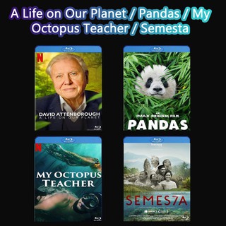 สารคดี Bluray A Life on Our Planet (2020) / Pandas (2018) / My Octopus Teacher (2020) / Semesta (2018)