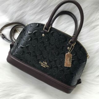 Coach dome mini F55450