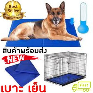 Pet cool mat ที่นอนเจลเย็นหมา แผ่นเจลรองนอนหมา แผ่นเจลเย็นสุนัข ที่นอนเจลเย็นสำหรับสุนัข (Size L 90*50cm)ทำความสะอาดง่าย