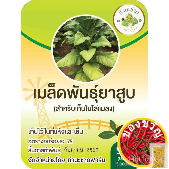 เมล็ดอวบอ้วน100-ไทยในสต็อกพร้อมส่ง-ส่งkerry-เมล็ดพันธุ์ยาสุบ-พันธุ์พื้นเมือง-ซอง-15-000-เมล็ด-สำหรับเก็บใบไล่แมลง-ทำ