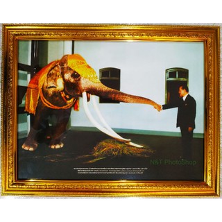 ภาพร.9 คุณพระเศวต ช้างเผือกคู่พระบารมีในหลวง รัชกาลที่ 9 กรอบทองภาพเคลือบฟีล์ม มีหูแขวน ขนาดรวมกรอบ 18x23นิ้ว