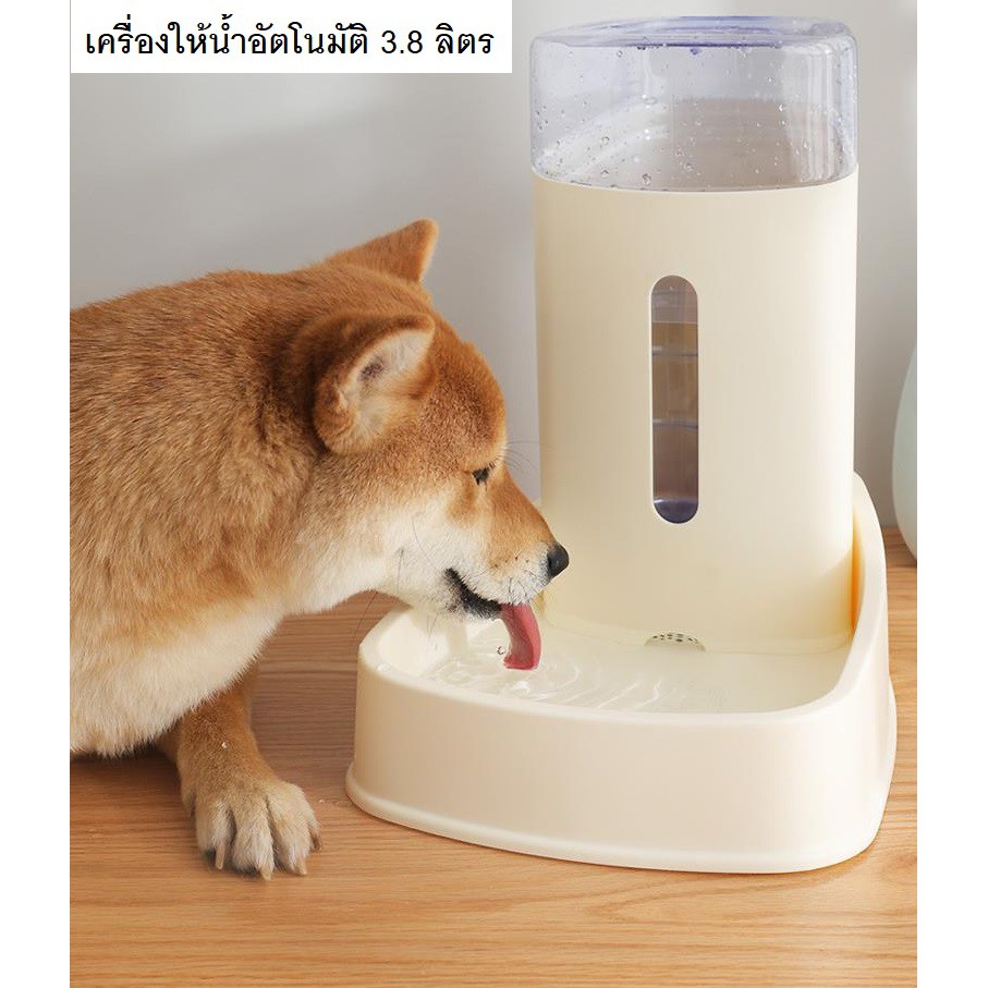 เครื่องให้-น้ำ-อาหาร-อัตโนมัติ-สำหรับ-แมว-และ-สุนัข