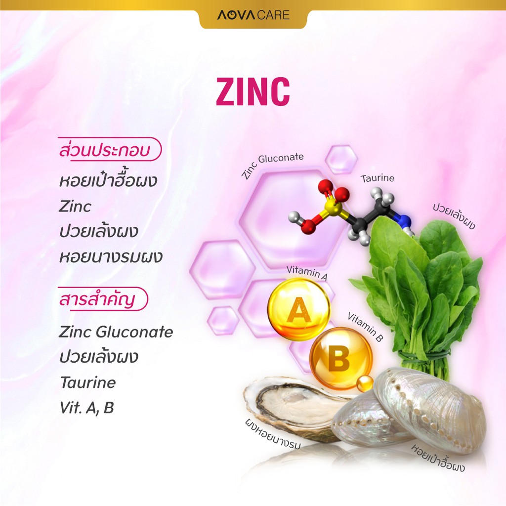 ภาพสินค้าAOVA Care Zinc ผลิตภัณฑ์เสริมอาหารซิงค์ 30 แคปซูล  บำรุงผมและเล็บ จากร้าน aova_official บน Shopee ภาพที่ 2