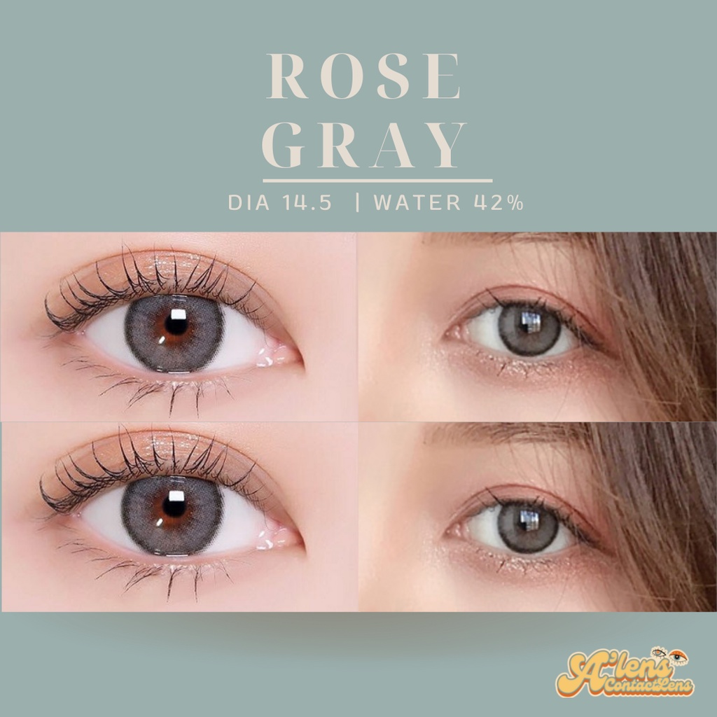 new-roze-gray-รายเดือน