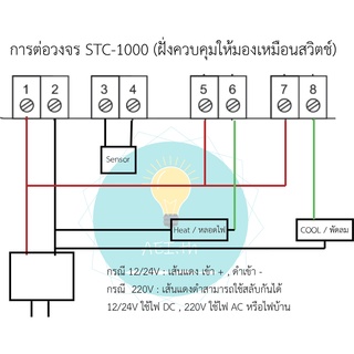 ภาพขนาดย่อของภาพหน้าปกสินค้า(ส่งด่วน)STC-1000 อุปกรณ์ควบคุมอุณหภูมิ 12V , 24V , 220V มีของในไทย มีเก็บเงินปลายทางพร้อมส่งทันที จากร้าน aei.th บน Shopee ภาพที่ 2
