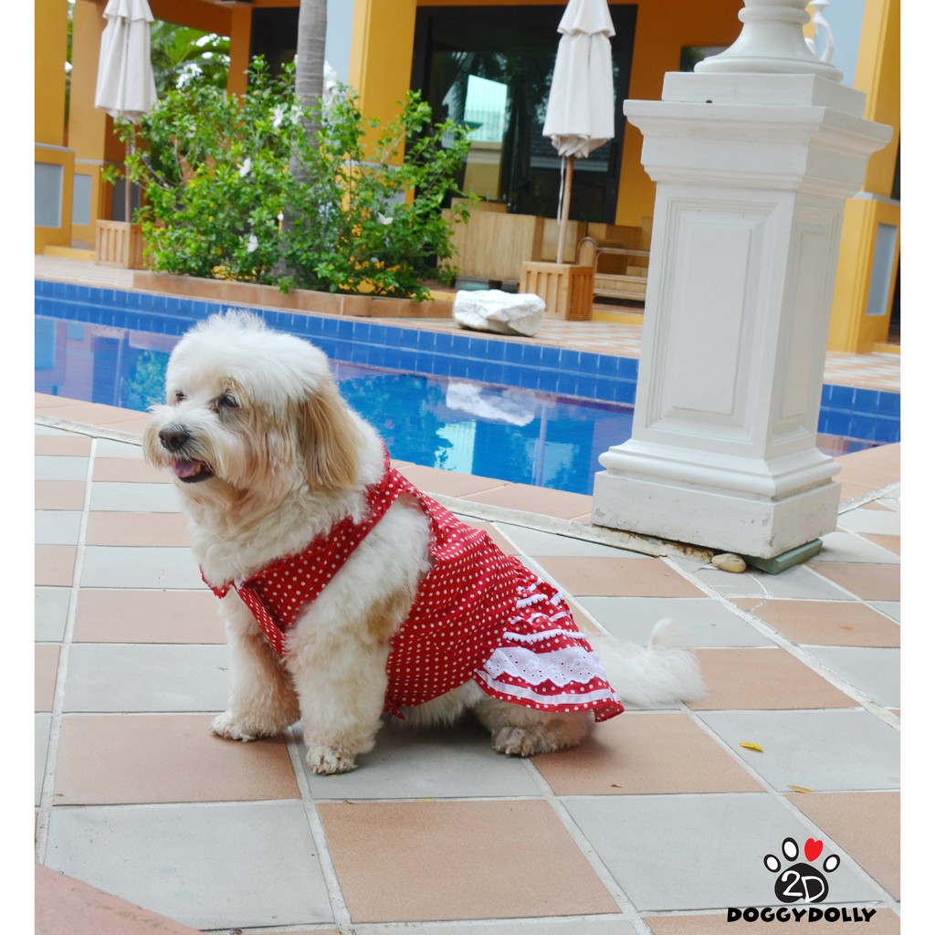 pet-cloths-doggydolly-เสื้อผ้าแฟชั่น-เสื้อผ้าสัตว์เลี้ยง-เสื้อผ้าหมาแมว-ชุดกระโปรง-d404