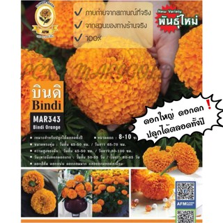 ภาพหน้าปกสินค้าเมล็ดพันธุ์ดาวเรืองAFM Bindi Orange (สีส้ม)  (แบบแบ่งขาย25เมล็ด/50เมล็ด/100เมล็ด ที่เกี่ยวข้อง