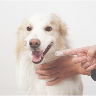 ภาพขนาดย่อของภาพหน้าปกสินค้าPP-041 แปรงฟันซิลิโคนสำหรับสัตว์เลี้ยง แปรงสีฟันสุนัข แมว แบบสวมนิ้ว แปรงซิลิโคนฟันสัตว์เลี้ยง หมา ราคาถูก พร้อมส่ง จากร้าน pet_project_mall บน Shopee