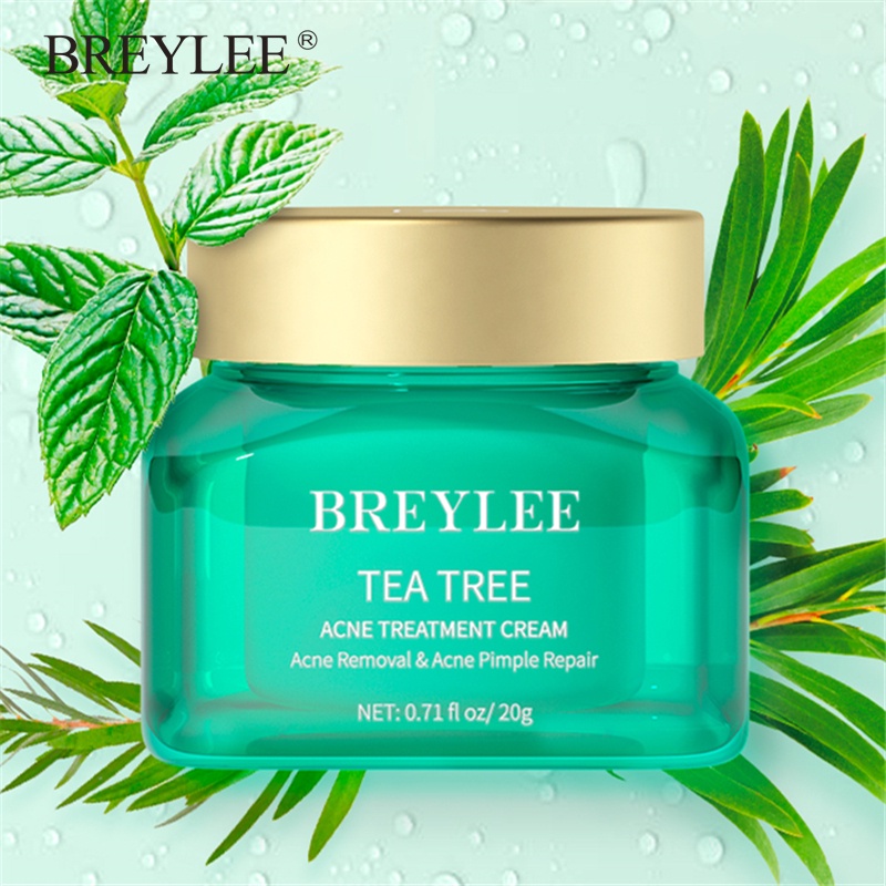 คูปองใหญ่-breylee-acne-cream-ครีมแต้มสิว-ครีมบำรุงผิวหน้า-ครีมลดสิว-ทีทรี-และช่วยรักษาสิว-ครีมสิว-ผลิตภัณฑ์รักษาสิว