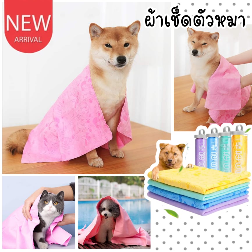 catholiday-ผ้าเช็ดตัวหมา-ผ้าเช็ดตัวสุนัข-ผ้าเช็ดตัวชามัวร์-ผ้าอาบน้ำสัตว์เลี้ยง-ผ้าเช็ดตัวสัตว์เลี้ยง