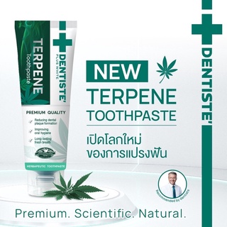 Dentiste Terpene Toothpaste 50g. ยาสีฟัน เทอร์พีน ลดคราบพลัค ลมหายใจสดชื่นยาวนาน เดนทิสเต้