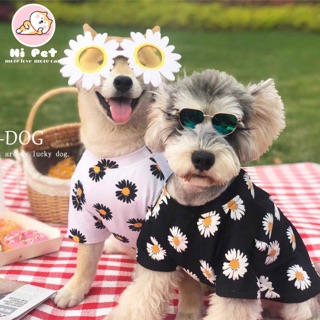 ภาพหน้าปกสินค้าHi Pet เสื้อลายดอกน้องหมาน้องแมว เสื้อน้องหมาน้องแมว (หรือแว่น)  ลายดอกไม้ ซึ่งคุณอาจชอบสินค้านี้